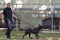 Polizeidirektion   068